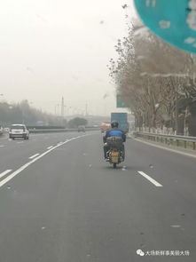 莫拿生命當兒戲 行人非機動車上高速公路，危險至極