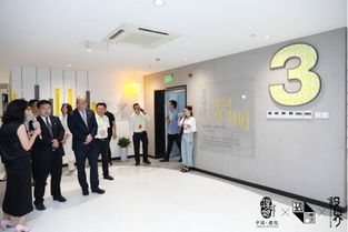 “設計無界，產(chǎn)業(yè)互聯(lián)” 桐引鳳創(chuàng)新賦能綜合體開幕儀式圓滿落幕