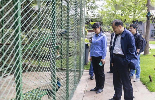 省化解辦鋼鐵去產能“回頭看”檢查組深入南鋼調研創新教育綜合體建設成效
